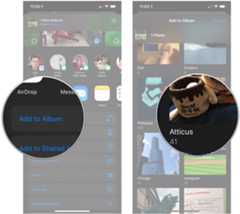 Tap Add to Album, tap album