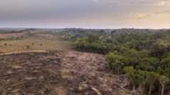 deforestaion, with land cleared in the left of the image and forest in the right. 
