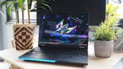 An image of a laptop on a desk with two potted plants