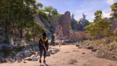 ROok follows Taash along the sandy beaches on Rivain's coast