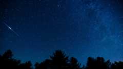 White streaks across a blue starry night sky show satellites with silhouettes of trees at the bottom of the image