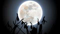 The full "Snow Moon" rose on Feb. 1 to flood the winter sky with icy moonlight.