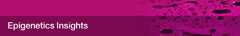 Epigenetics Insights logo