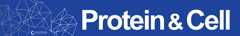 Protein & Cell logo
