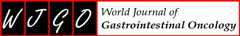 World Journal of Gastrointestinal Oncology logo