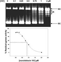 FIG. 4.