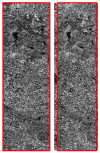 Figure 25.