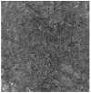 Figure 22.