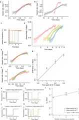 Extended Data Figure 5