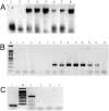Fig 5