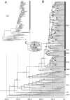 Fig. 1.