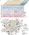 Extended Data Fig. 4 |
