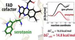 graphic file with name jp0c06502_0006.jpg