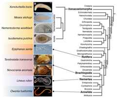 Extended Data Figure 1