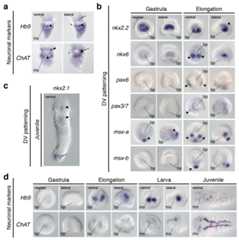 Extended Data Figure 9