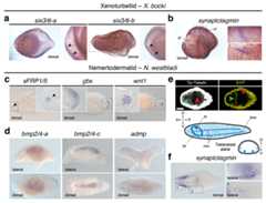 Extended Data Figure 2