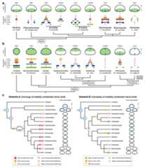 Extended Data Figure 10
