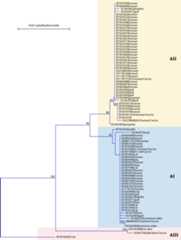 FIG. 2.