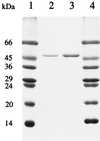 FIG. 1