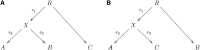 Figure C1