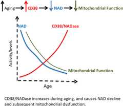 graphic file with name nihms790132f7.jpg