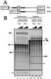 FIG. 7