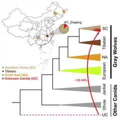 graphic file with name fx1.jpg