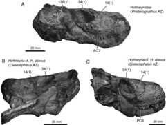 Figure 12