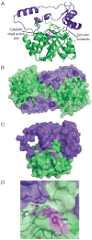 Fig. 9