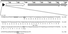 FIG 2 