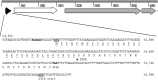 FIG 2
