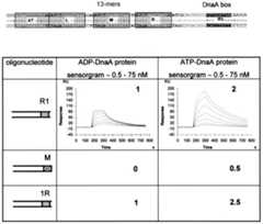 graphic file with name cde139f2.jpg