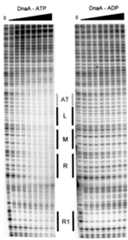 graphic file with name cde139f1.jpg