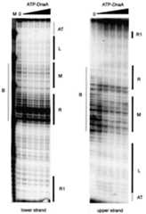 graphic file with name cde139f4.jpg