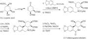 Scheme 15