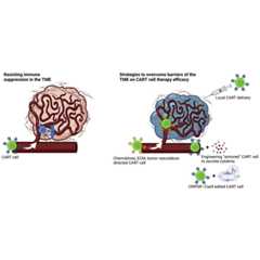 graphic file with name fx1.jpg