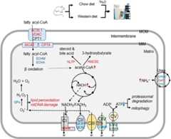 graphic file with name zjw0121858300010.jpg