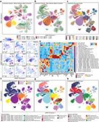 Extended Data Fig. 3