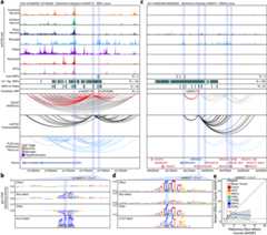 Extended Data Fig. 7