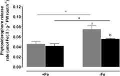 Fig. 12.