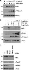 FIG. 6.