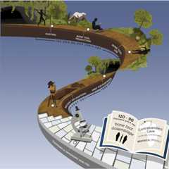 graphic file with name fx1.jpg