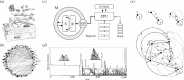 Universal patterns in ecosystems and digital ecologies.
