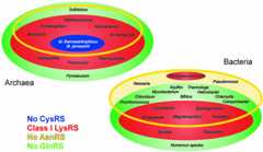 graphic file with name kve09502.jpg