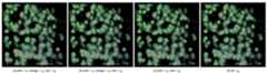 Fig. 7: