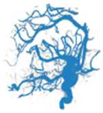 graphic file with name nihms-1923182-t0012.jpg