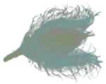 graphic file with name nihms-1923182-t0016.jpg