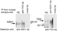 FIG. 1