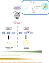 graphic file with name jciinsight-8-160516-g234.jpg