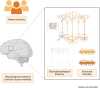 Graphical Abstract